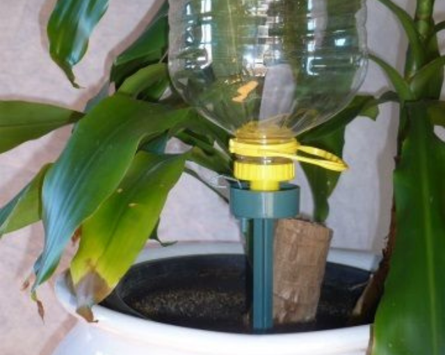 Irrigatore per bottiglie - 4 pezzi