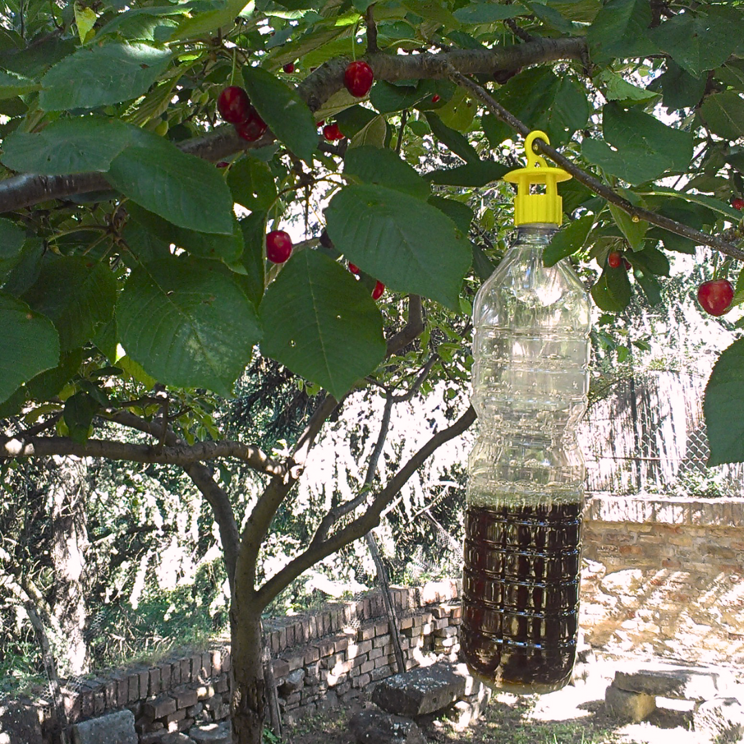 Trappola per Insetti Standard