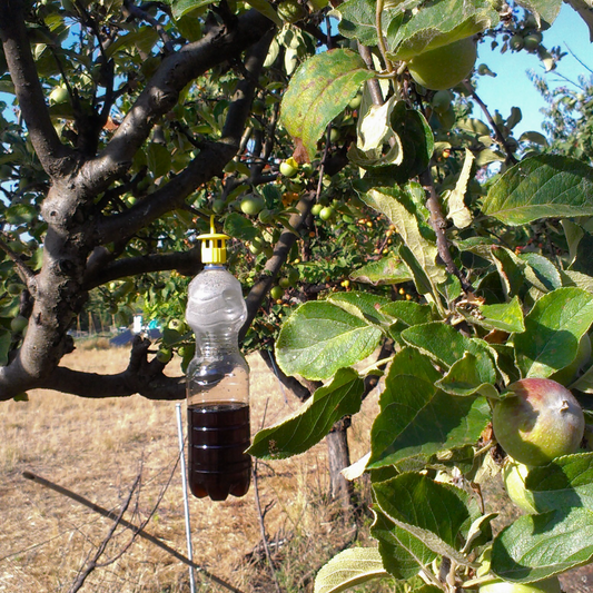 Trappola per Insetti Standard