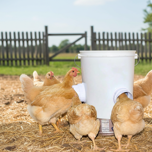 Mangiatoia fai da te