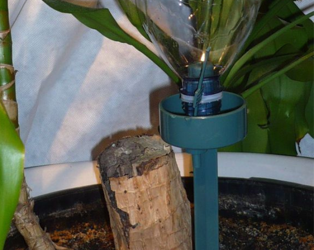 Irrigatore per bottiglie - 4 pezzi