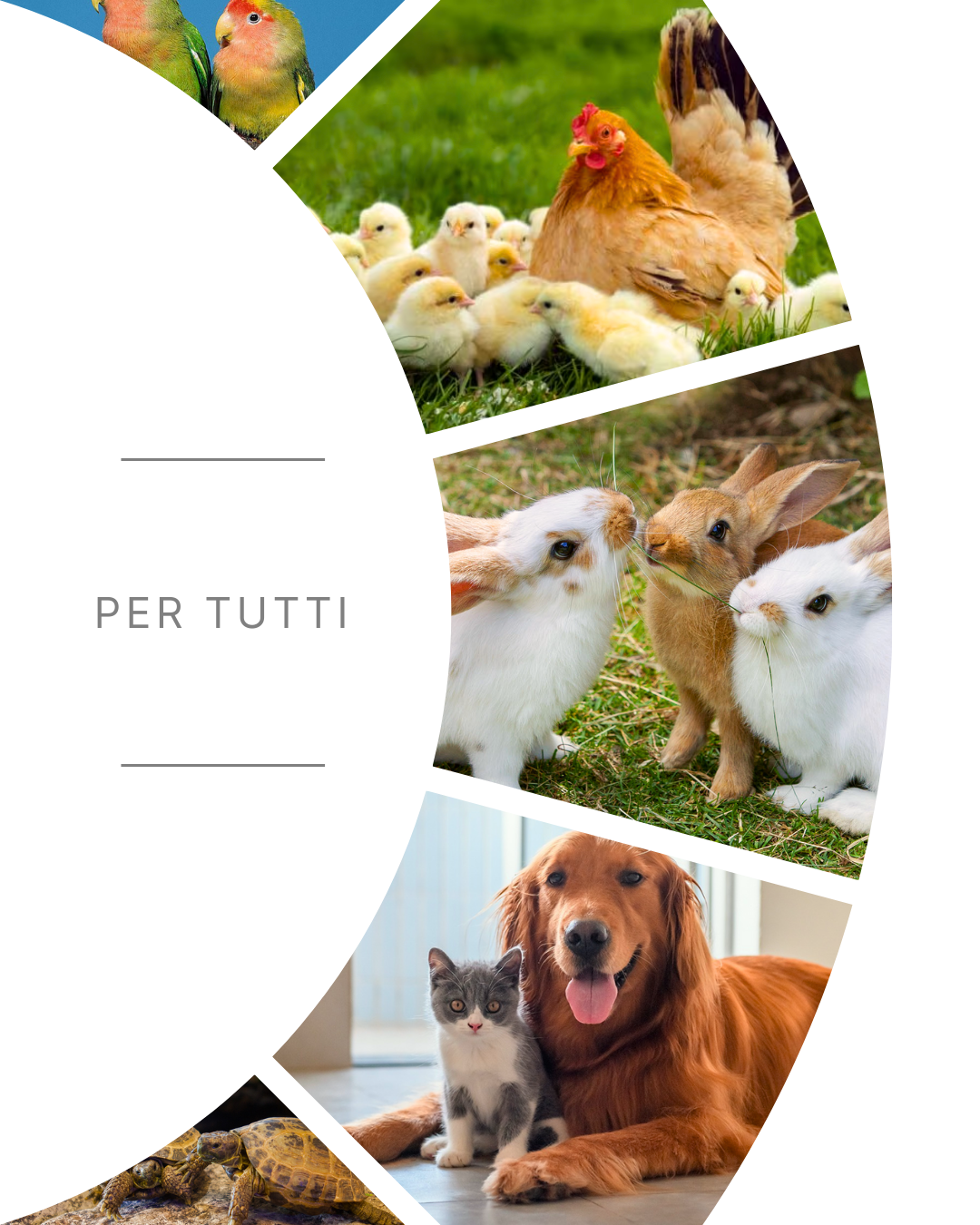 Abbeveratoio da Taniche - 2 pezzi