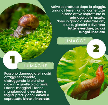 Trappola Dispenser per Lumache e Limacce 2 in 1