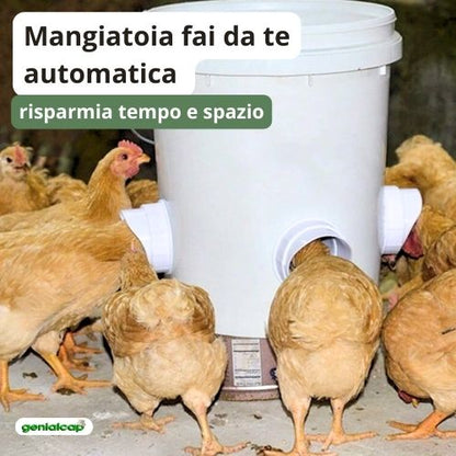 Mangiatoia fai da te